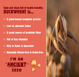 Better With Buckwheat - Rosemary Herb Crackers, 4.25 oz (Pack of 6) - Gluten-Free Snacks