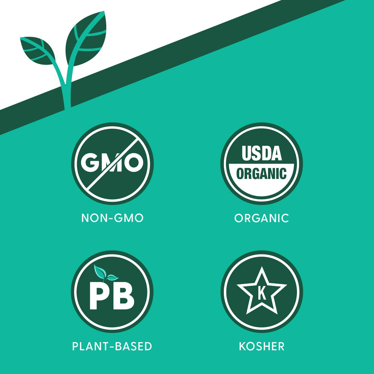 Ancient Harvest Organic Polenta, Traditional Italian, Case of 12 - 18 Oz Packages