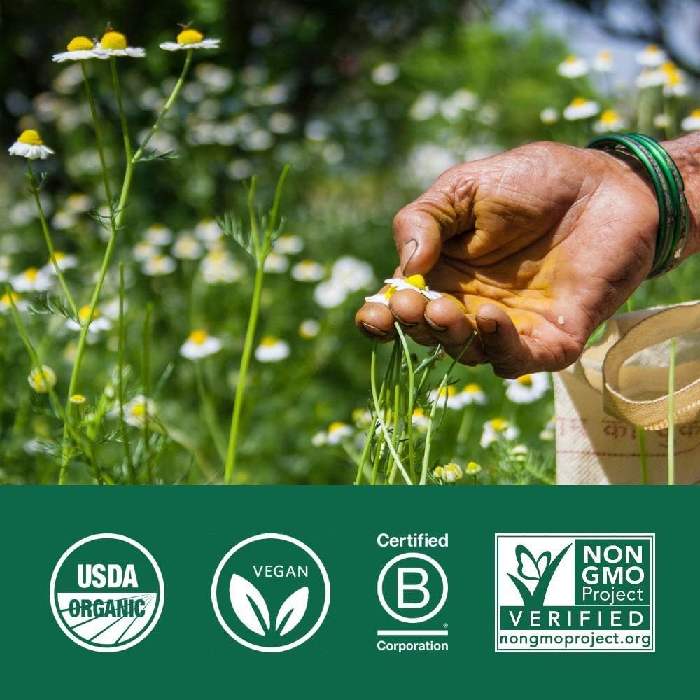 Organic India Neem Whole Herb Supplement (90 Capsules)