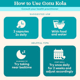 Organic India Gotu Kola Wellness Supplements, 90 Vegan Capsules