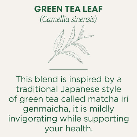 Traditional Medicinals Matcha Infused Green Tea with Jasmine Rice, Case of 6, 16 Bags Each, Organic & Sustainably Sourced