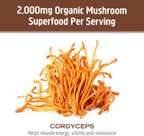 Om Mushroom Superfood Cordyceps Mushroom Capsules, Energy and Endurance Support Supplement, 90 Count - Cozy Farm 