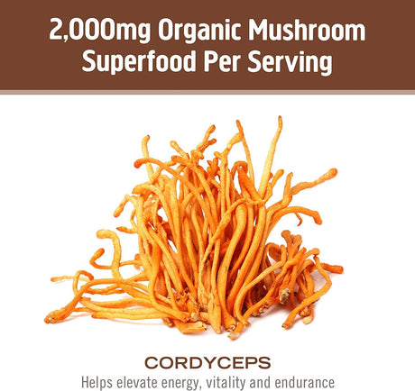 Om Mushroom Superfood Cordyceps Mushroom Capsules, Energy and Endurance Support Supplement, 90 Count - Cozy Farm 