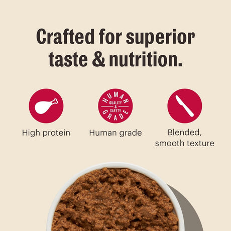The Honest Kitchen Grain Free Chicken Pate Cat Food, Pack of 12, 5.5 oz
