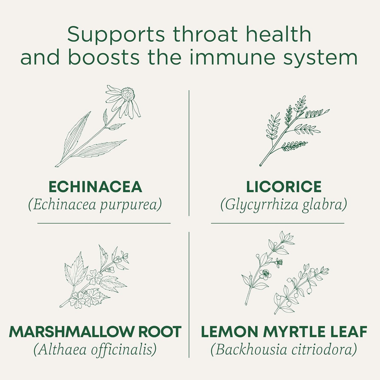 Traditional Medicinals Organic Lemon Echinacea Throat Coat Tea, 16 Bags, Case of 6 – Immune Support, Sore Throat Relief