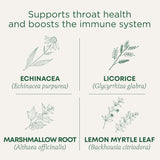 Traditional Medicinals Organic Lemon Echinacea Throat Coat Tea, 16 Bags, Case of 6 – Immune Support, Sore Throat Relief