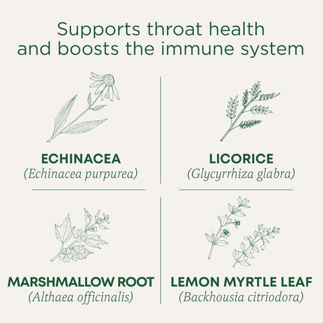 Traditional Medicinals Organic Lemon Echinacea Throat Coat Tea, 16 Bags, Case of 6 – Immune Support, Sore Throat Relief