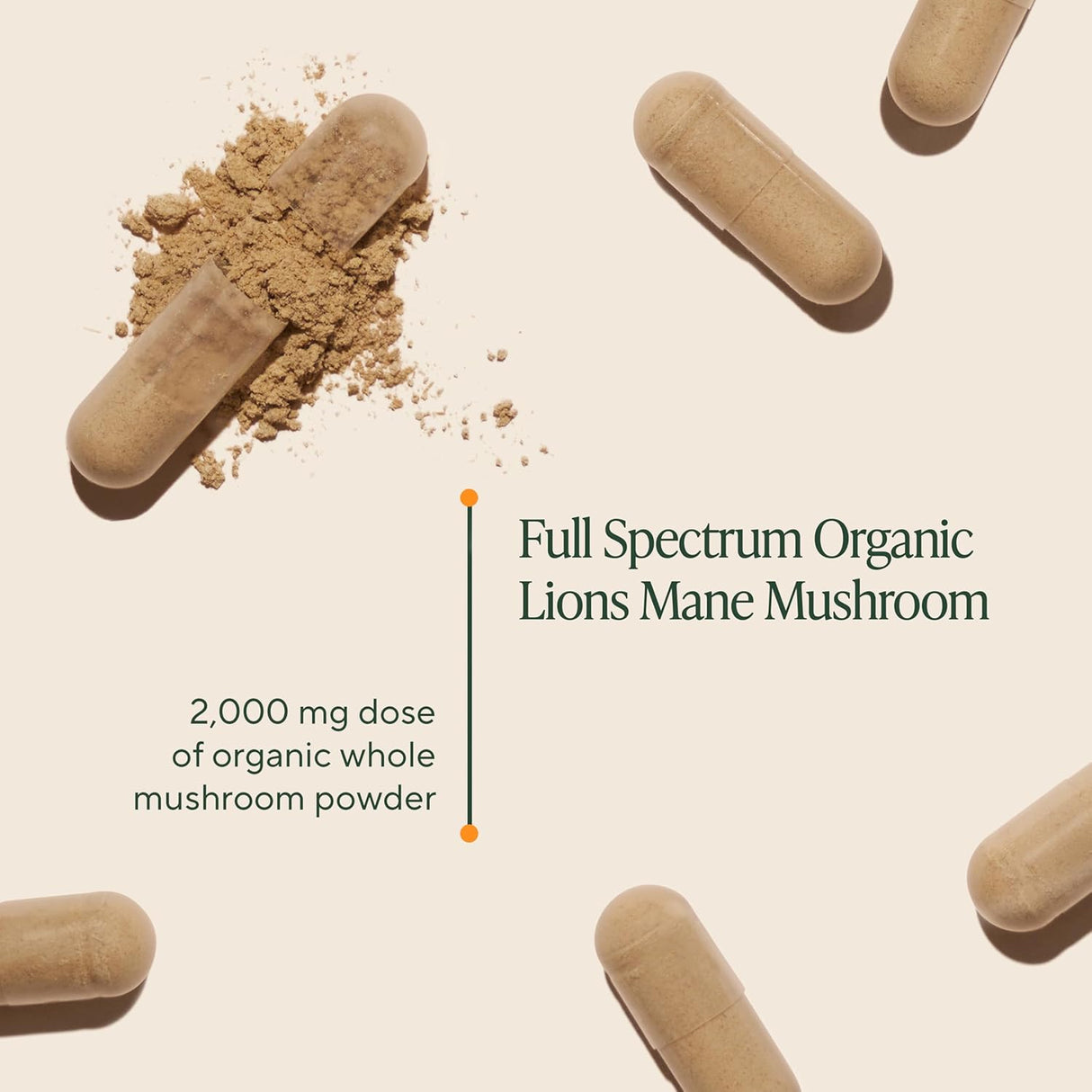 Om Mushroom Superfood Lion's Mane Capsules, 2000mg, 180 Count (60-Day Supply)