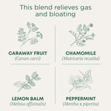 Traditional Medicinals Organic Gas Relief Tea, 16 Bags, Case of 6