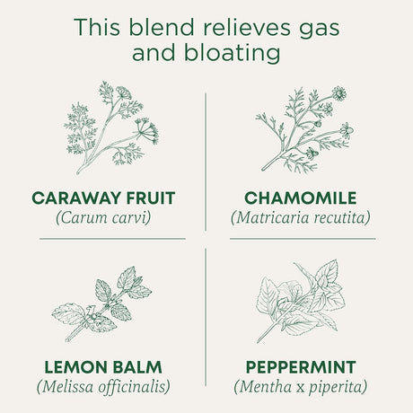 Traditional Medicinals Organic Gas Relief Tea, 16 Bags, Case of 6