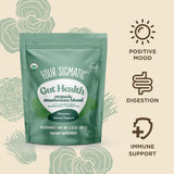 Four Sigmatic Mushroom Blend Protect - 1-2.12 Oz - Digestion and immune support