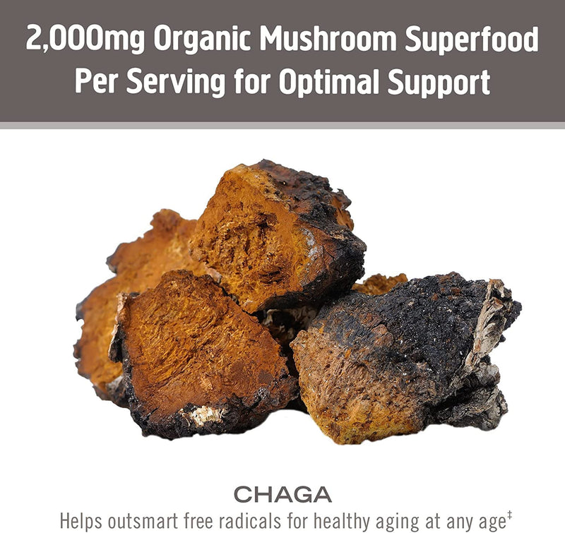 Om Mushroom Superfood Chaga Organic Mushroom Powder, 3.5 Ounce - Cozy Farm 