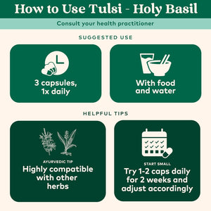 Organic India Tulsi Holy Basil Supplement, 90 Capsules – Stress Relief & Immune Support