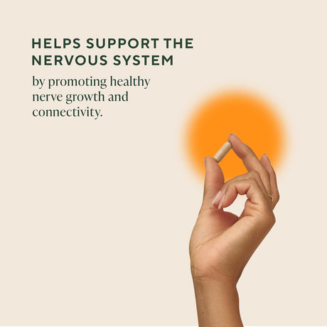 Om Mushroom Superfood Lion's Mane Mushroom Capsules, 90 Count