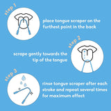 The Humble Co. Copper Tongue Scraper, 2 Count (Pack of 6), Natural Oral Hygiene