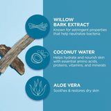 Andalou Naturals Instant Pure Pore Facial Mask, Coconut Water Clarifying, Case of 6, 0.6 Fl Oz – Natural Pore Refining Treatment