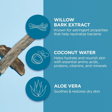 Andalou Naturals Instant Pure Pore Facial Mask, Coconut Water Clarifying, Case of 6, 0.6 Fl Oz – Natural Pore Refining Treatment