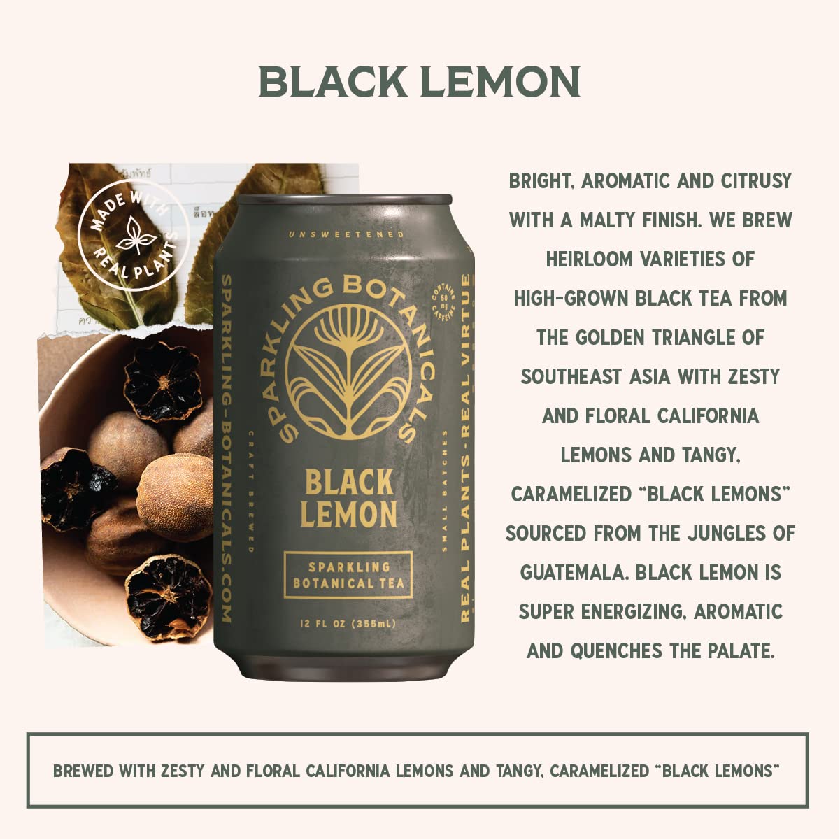 Can of Black Lemon sparkling botanical tea with packaging and text on a white background