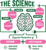 Diagram of brain with nutrients and their effects on mood, motivation, focus, clarity, and memory.