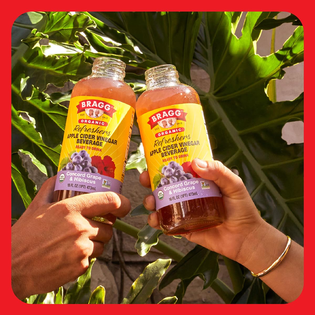 Bragg Apple Cider Vinegar Hibiscus Refreshers, 12 x 16 fl oz.