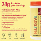 Natreve Vanilla Sundae Whey Protein Powder (Pack of 4) 23.8 Oz - Cozy Farm 