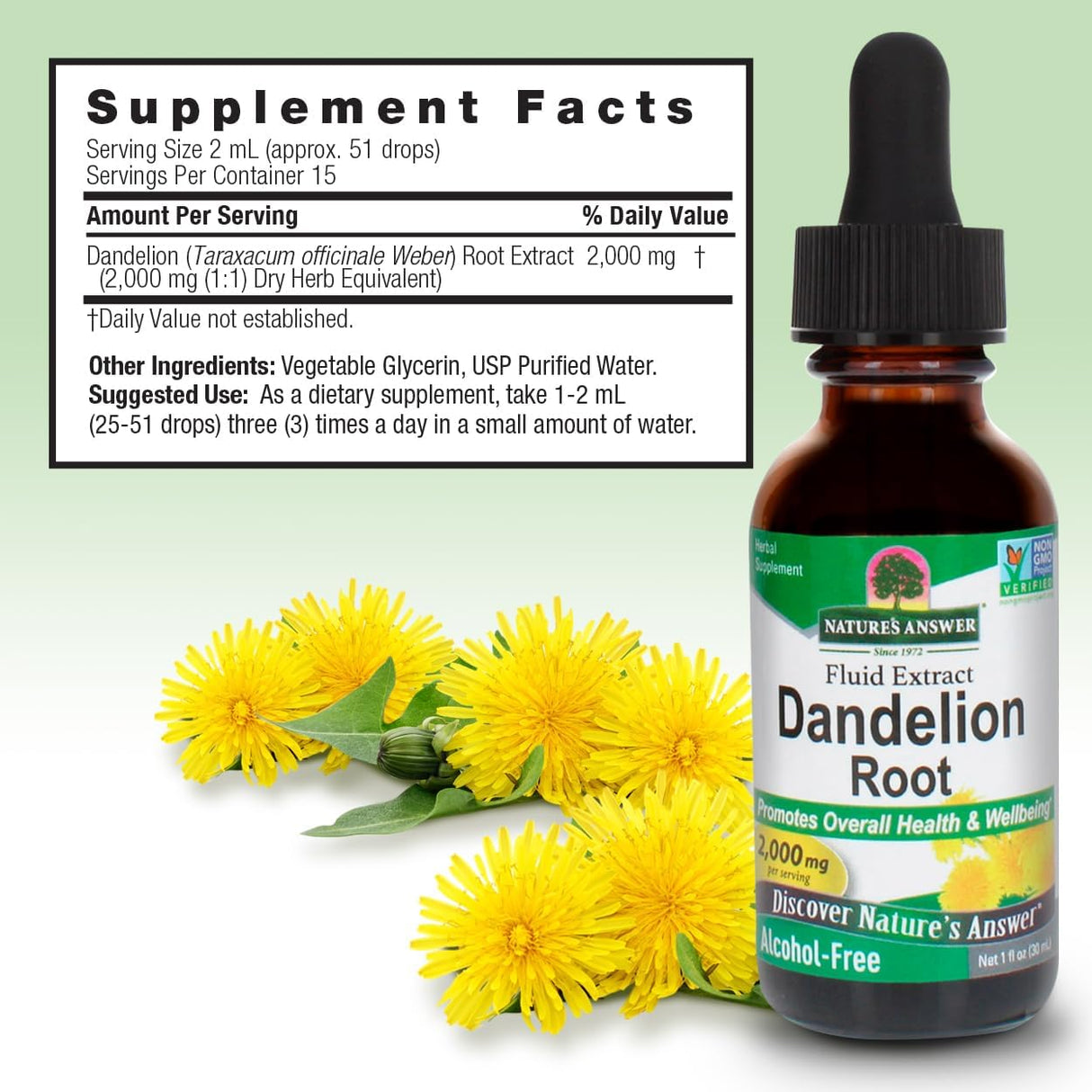 Dandelion root supplement bottle with flowers and supplement facts label on a light green background