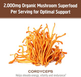 Om Mushroom Sup. Cordyceps Organic Mushroom Powder, 7.05 Oz. - Cozy Farm 
