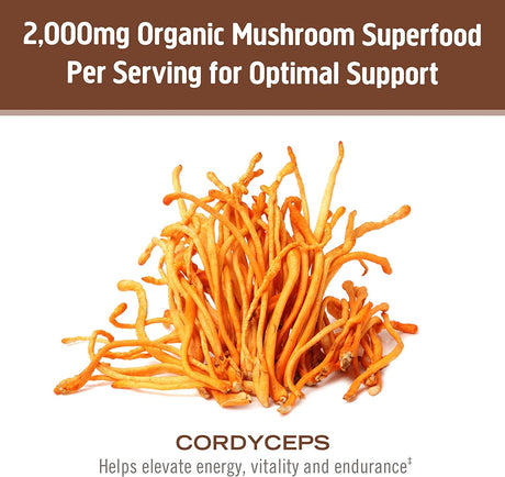 Om Mushroom Sup. Cordyceps Organic Mushroom Powder, 7.05 Oz. - Cozy Farm 