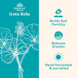 Organic India Gotu Kola Wellness Supplements, 90 Vegan Capsules