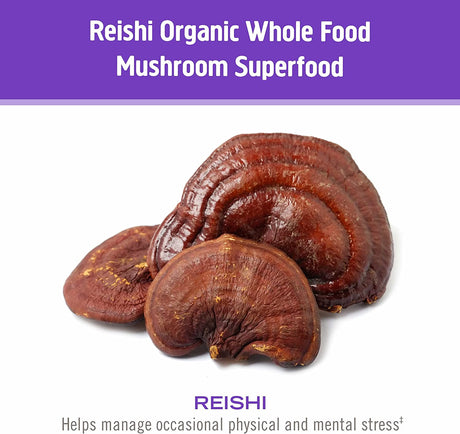 Om Mushroom Superfood Sleep Mushroom Capsules: 90-Count Superfood Sleep Support Supplement - Cozy Farm 