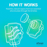 Dr. Tung's Snap-On Toothbrush Sanitizer, Natural Antibacterial Protection, Fresh Mint or Lime, 4 Discs