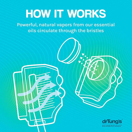 Dr. Tung's Snap-On Toothbrush Sanitizer, Natural Antibacterial Protection, Fresh Mint or Lime, 4 Discs