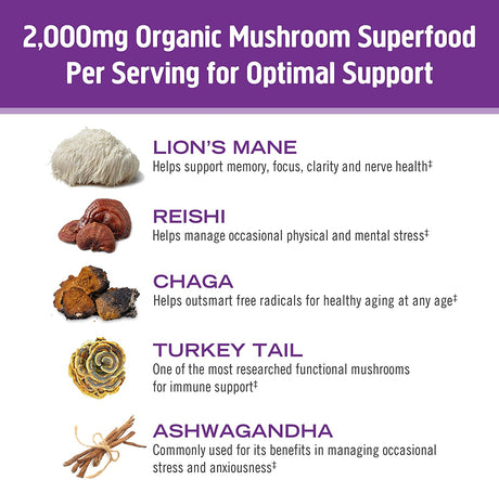 Om Mushroom Superfood Hot Chocolate Blend | Single Serve | 10 Count | Lion's Mane, Reishi, Chaga, Turkey Tail - Cozy Farm 