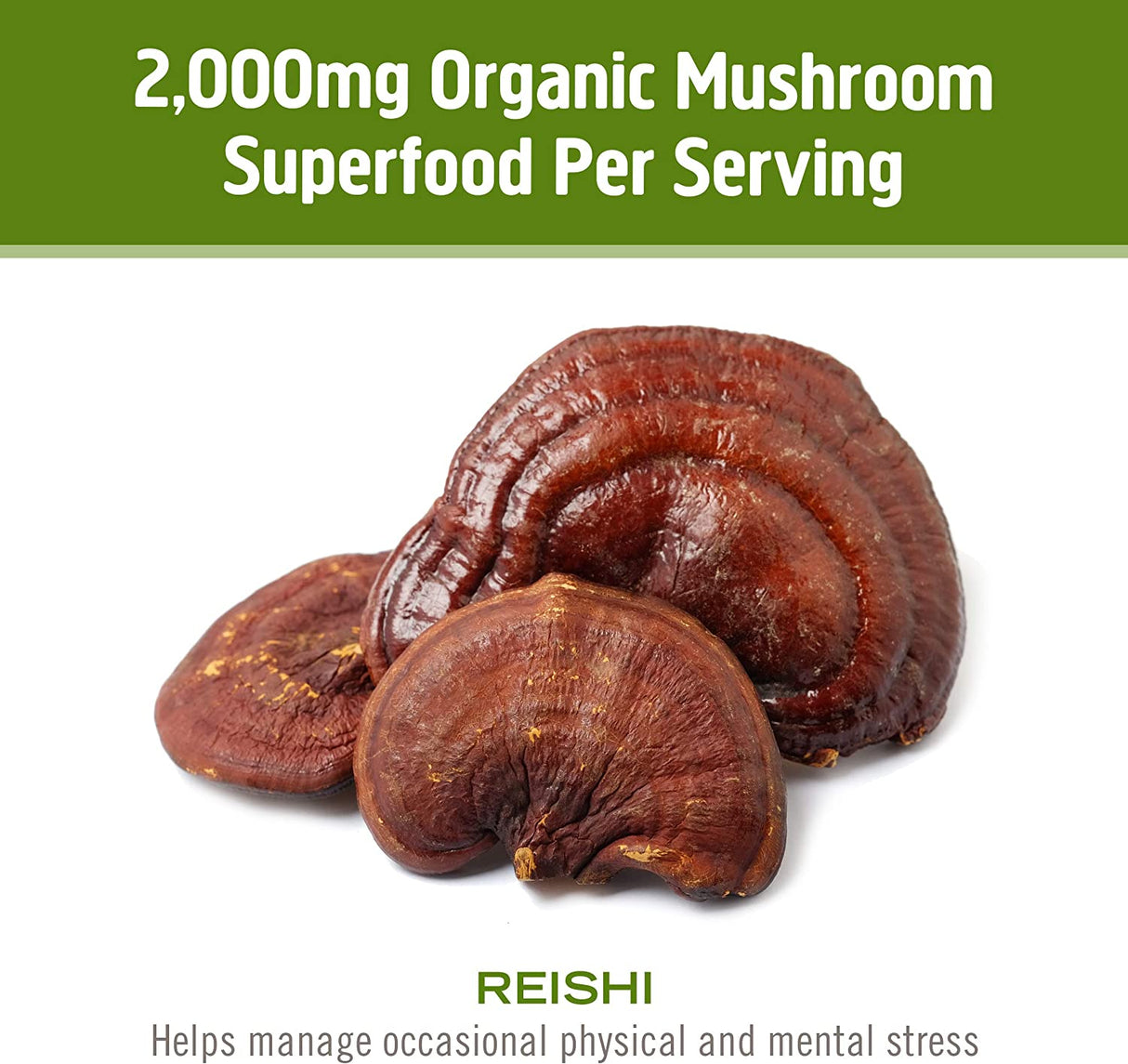 Om Mushroom Superfood Reishi Organic Mushroom Powder, 3.5 Ounce - Cozy Farm 