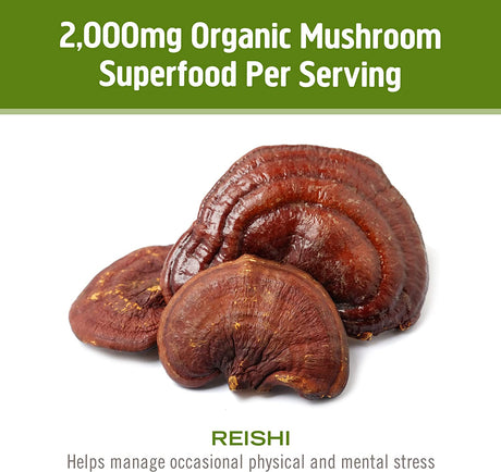 Om Mushroom Superfood Reishi Organic Mushroom Powder, 3.5 Ounce - Cozy Farm 