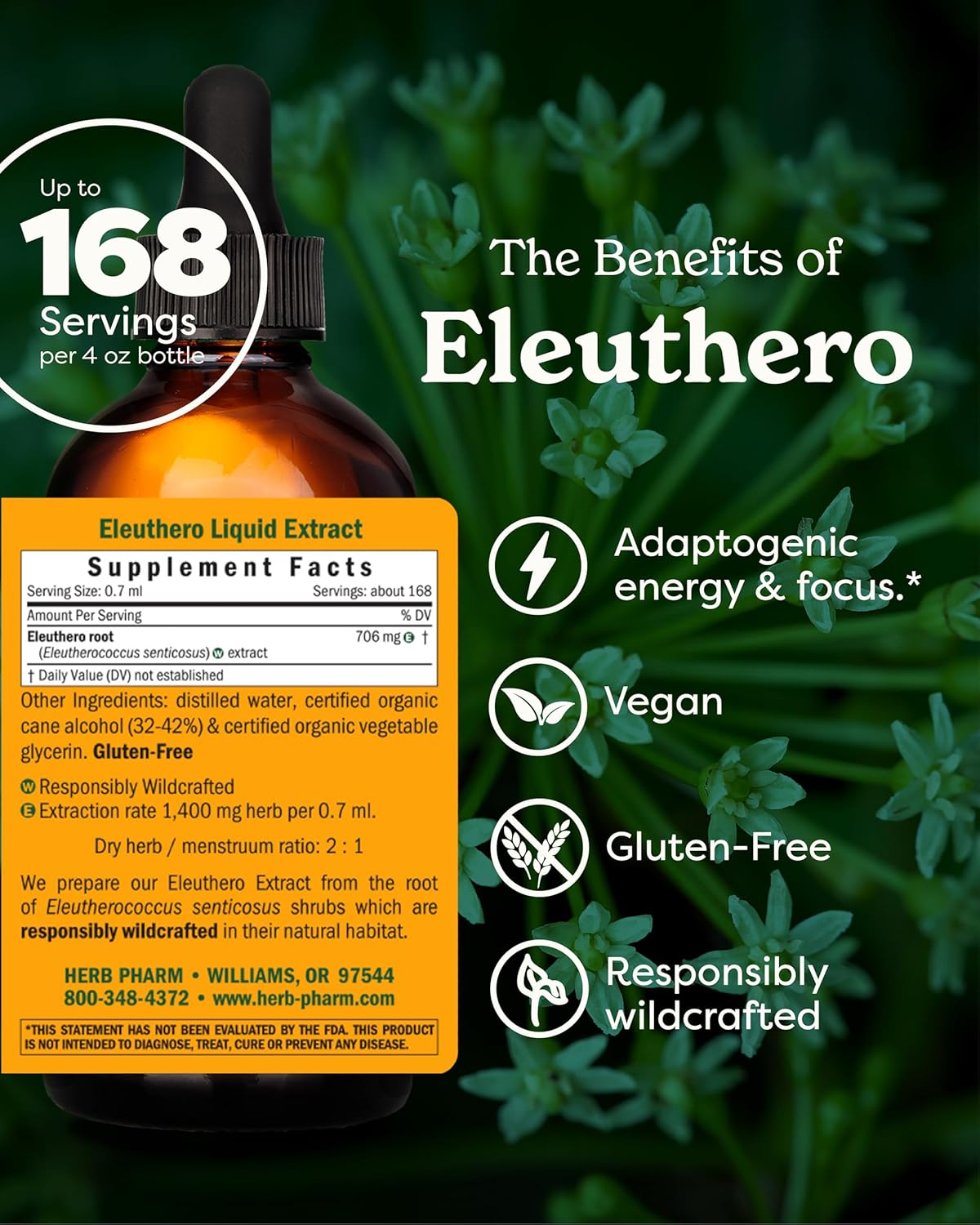 Bottle of Eleuthero Liquid Extract with supplement facts label on a green leafy background