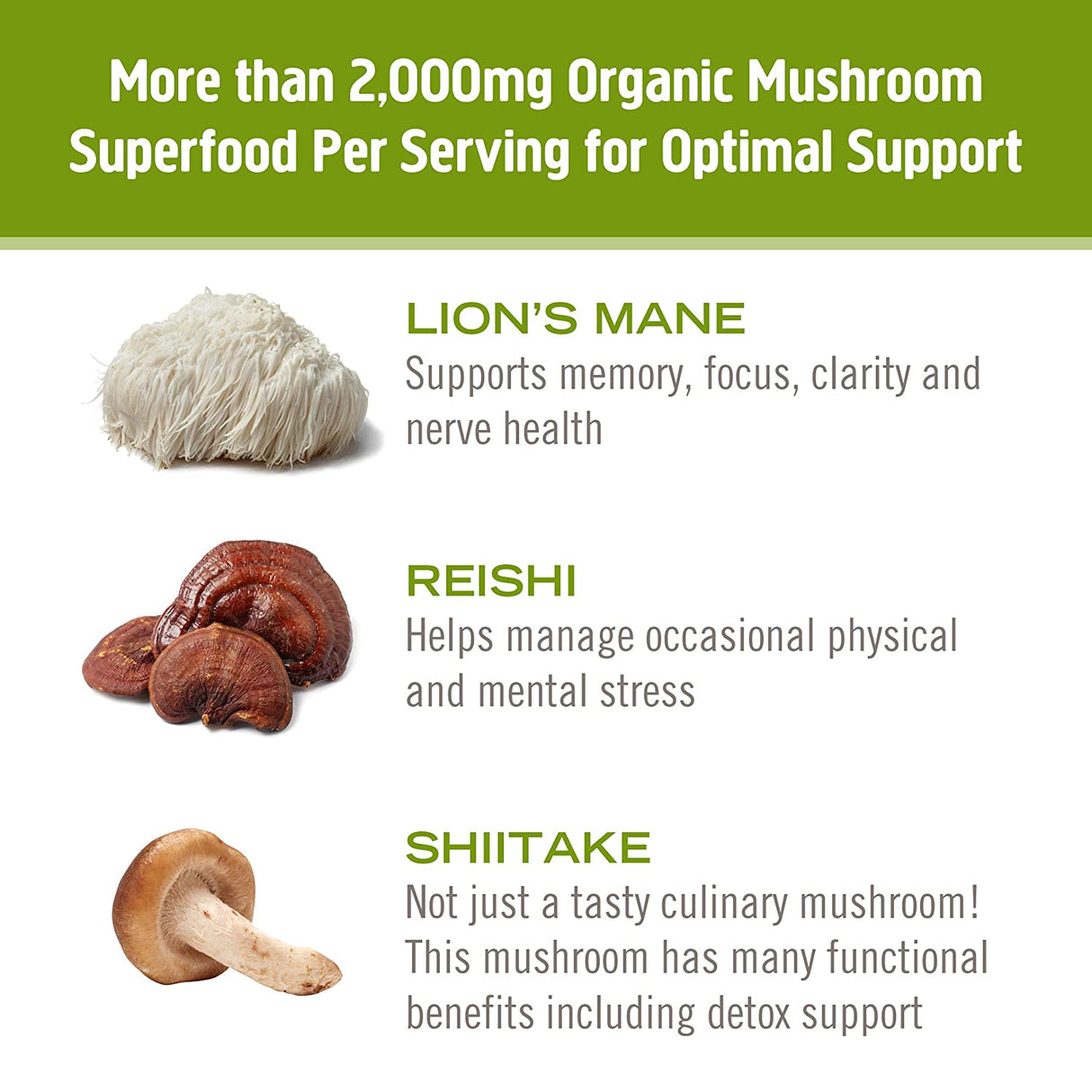 Om Mushroom Superfood Mighty Veggie Miso Broth 7g Protein Powder, Single Serve, 10 Count - Cozy Farm 