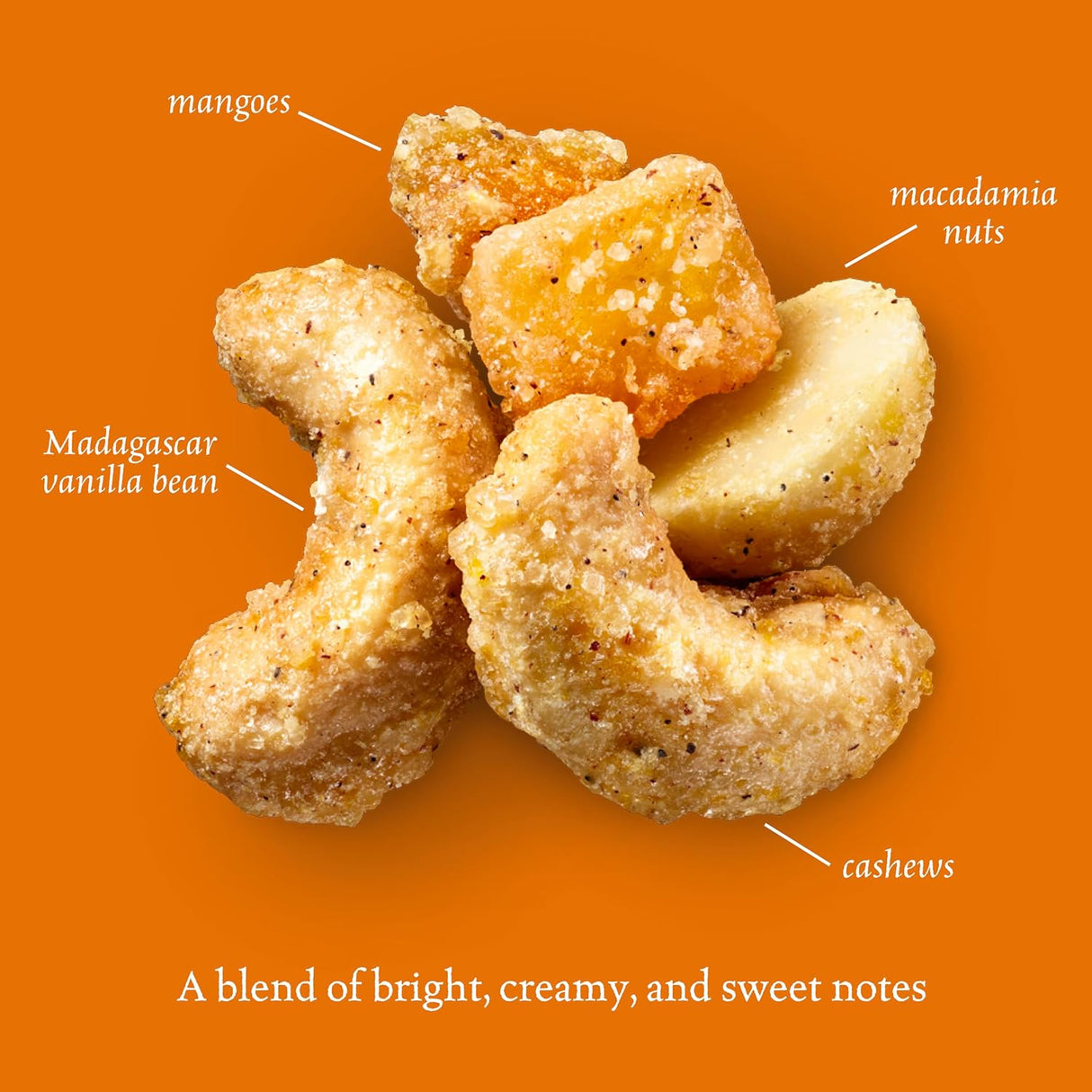 Cashews with labels for mangoes, macadamia nuts, and Madagascar vanilla bean on an orange background.