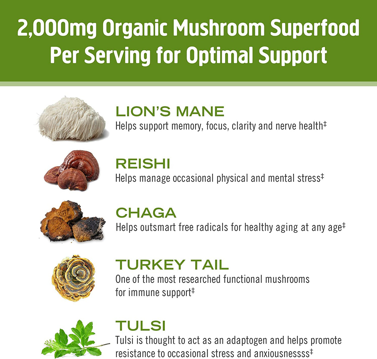 Om Mushroom Superfood Matcha Latte Blend: Immune Support, Energy Boosting Mushroom Powder - 8.47 oz - Cozy Farm 