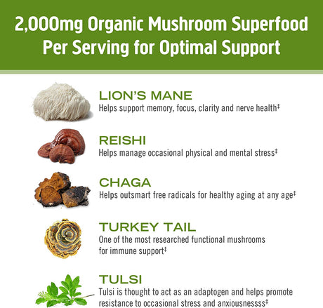 Om Mushroom Superfood Matcha Latte Blend: Immune Support, Energy Boosting Mushroom Powder - 8.47 oz - Cozy Farm 