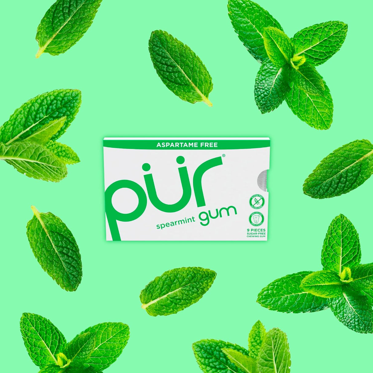 Pur gum packaging with spearmint leaves on a green background