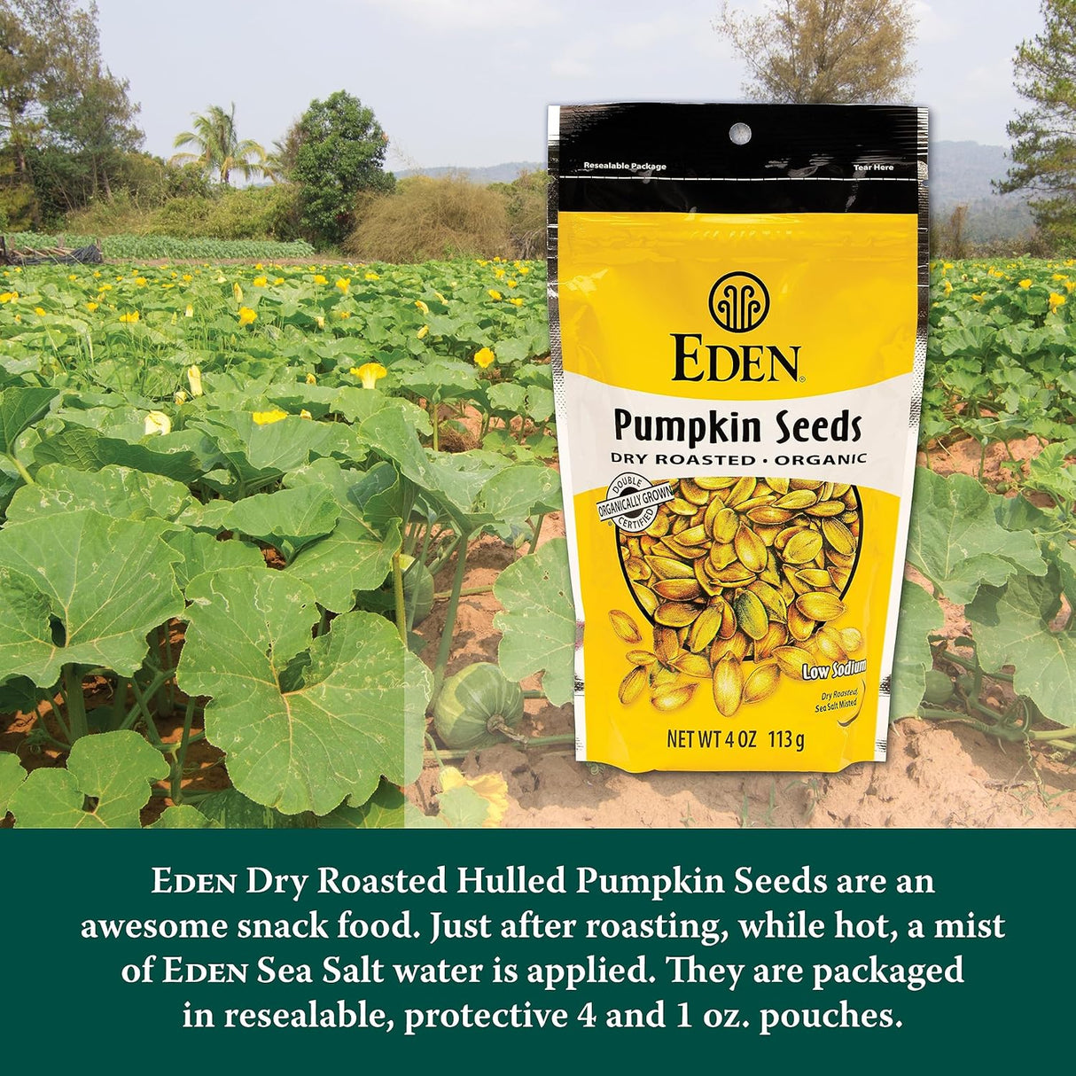 Eden Pumpkin Seeds packaging with pumpkin field in the background