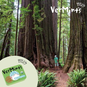 Vermints All-Natural Wintermint Breath Mints, Gluten-Free, Case of 6 (1.41 oz)