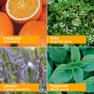 Collage of four images with labeled plants and their names: orange peel, anise, lavender, and peppermint.