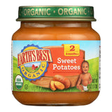 Earth's Best Stage 2 Sweet Potatoes, 4 Oz Jars (Pack of 10) - Cozy Farm 