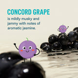 Liquid I.V. Kids Hydration Drink Mix - Grape - 8Single-Serving Packets