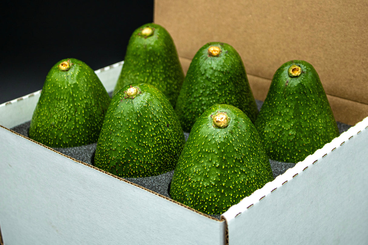 6 Large Fuerte Avocados, A California Classic