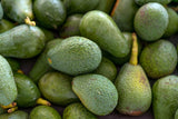 24 Large Hass Avocados, Fresh from the Farm