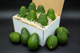 Avocados in a box with some outside on a dark background