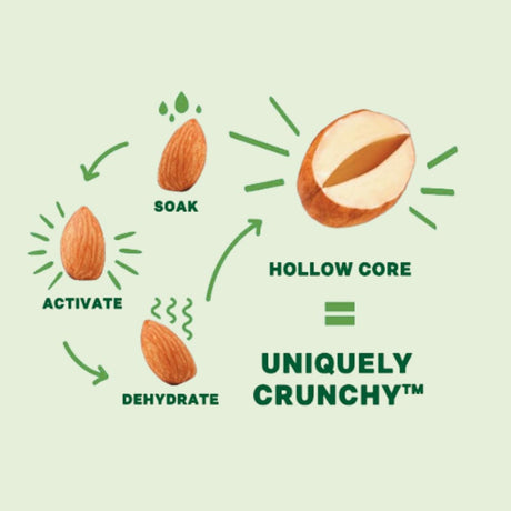 Diagram of almond processing steps on a light green background
